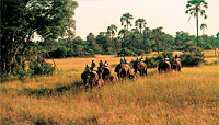 Elephant Back Safari Guide